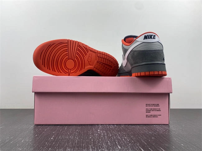 WellDesigned Nike SB Dunk Low 304292- 4555